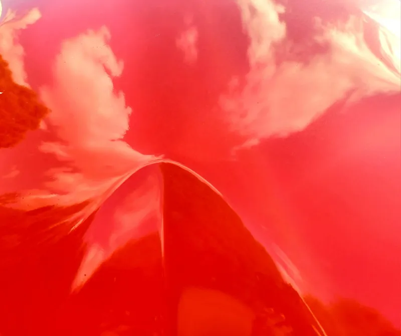 Photo contest: “Hidden Beauty in the Garden”