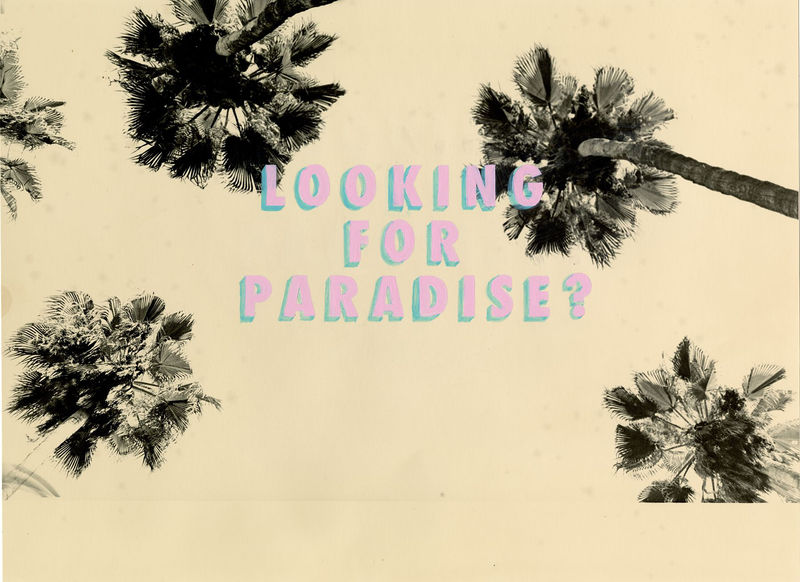 Bruno V. Roels' Signature Visions of Palm Trees Come to Howard Greenberg Gallery