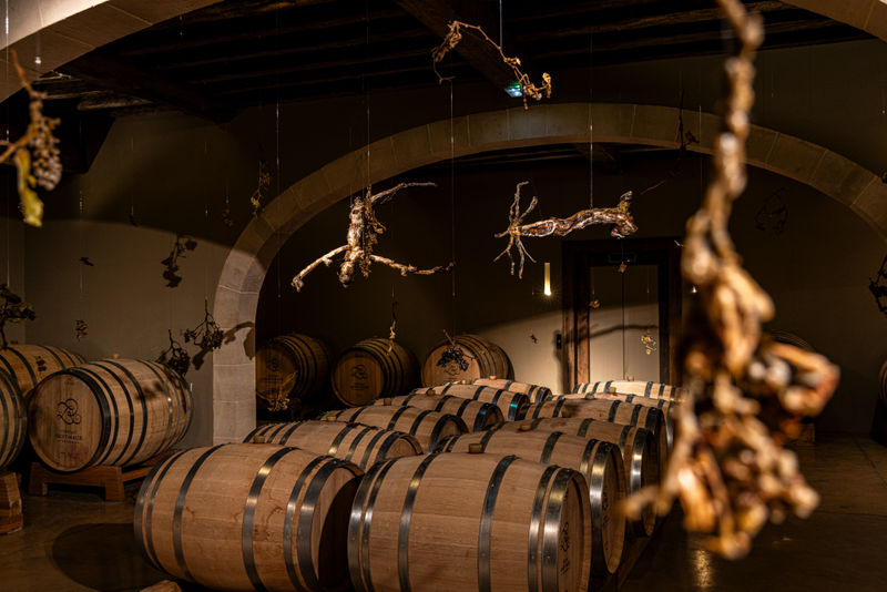 Isabelle d'Assignies