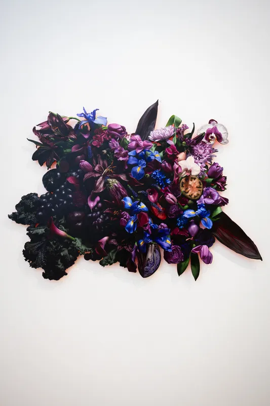 Color Field [Purple & Crimson} with Kale & Grapes” (2025), oil on custom cut aluminum panel, 26 x 38 inches