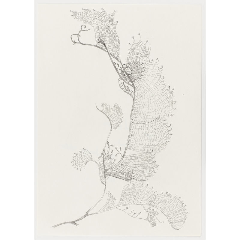 paper positions berlin