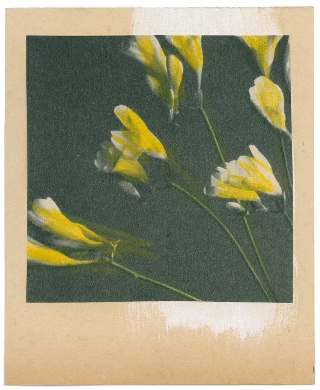 Katrien de Blauwer Flowers (10), 29.08.2019 Unique collage with gouache 3,57in x 4,33 in, for AIPAD 2026