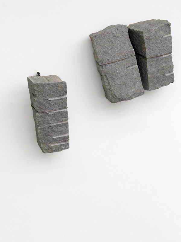 Grigi che si alleggeriscono mentre la terra si orienta, 1982-2022