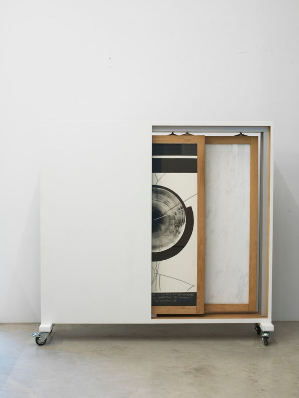 MALUS DOMESTICA. A CITY IS INITIATED, 1991 - PRESENT