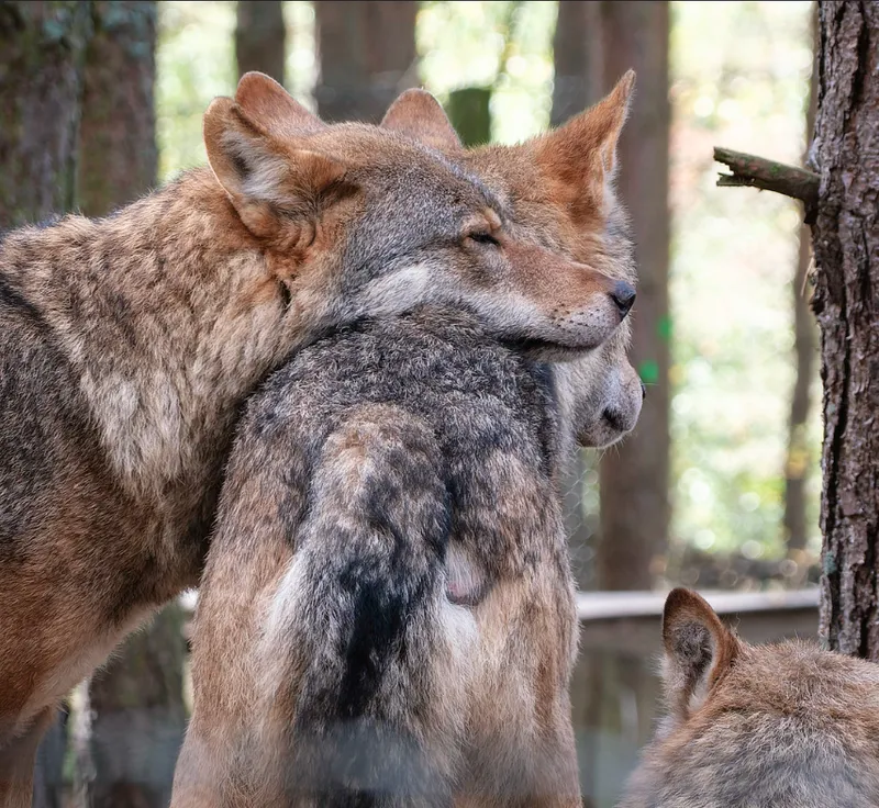 Alexander and Susan Maris