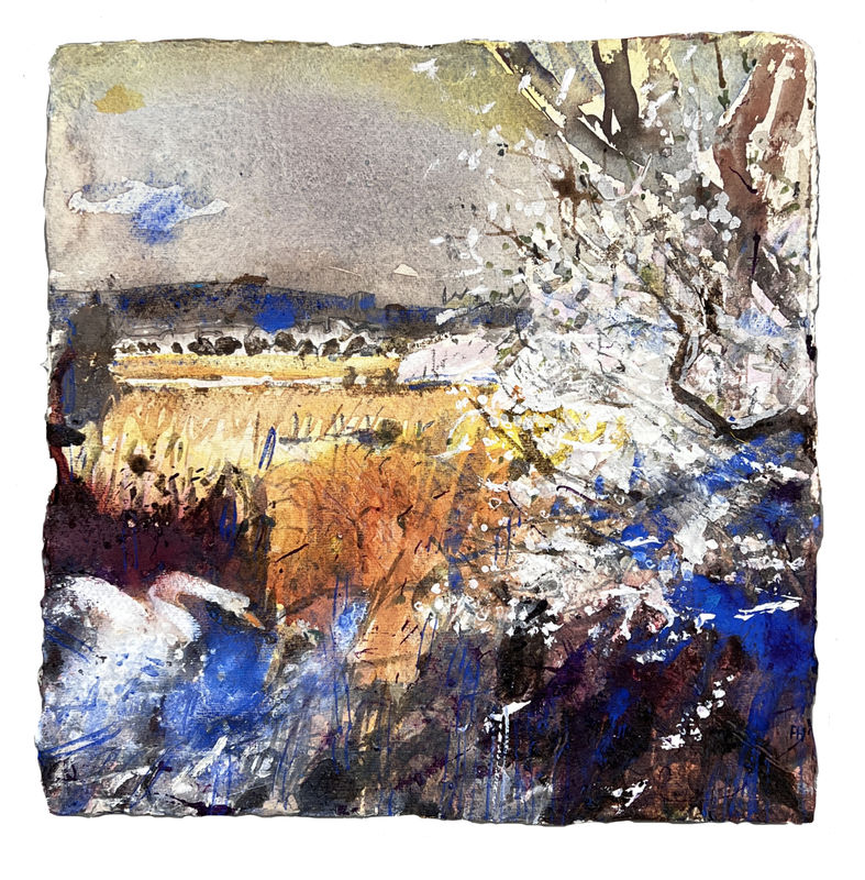 Meet the artist: Frances Hatch RWS