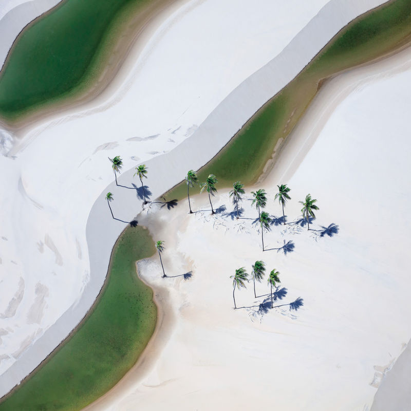 Coffee or Tea Study 2, Lençóis Maranhenses National Park, Brazil 2018