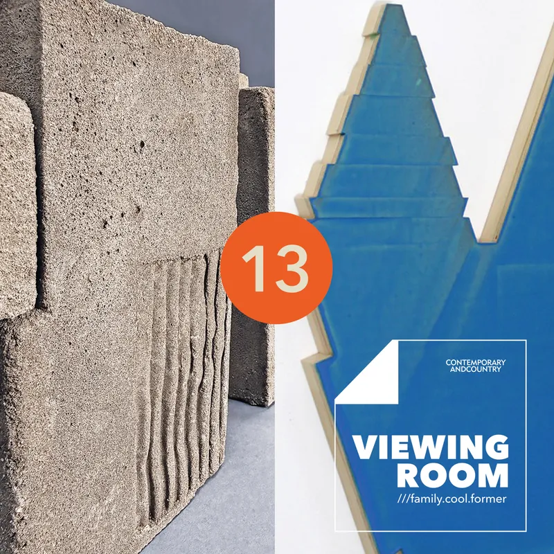Viewing Room 13, New paintings by Molly Thomson and sculptures by Victoria Fenn