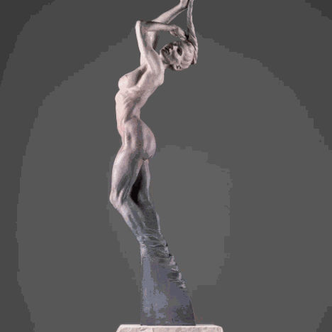 New Release - Venus, 2019