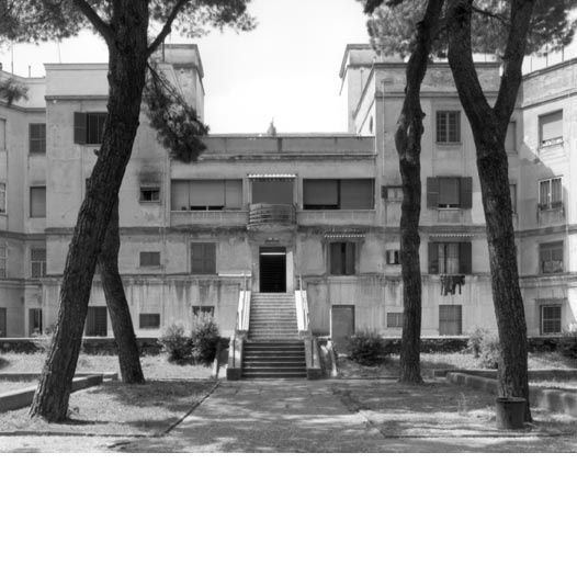 John Riddy, Ideal World