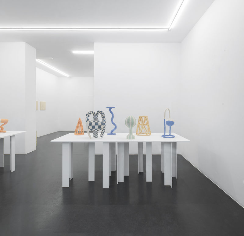 Vue d'exposition "Variété", Selina Baumann, Galerie Laurence Bernard, Geneva