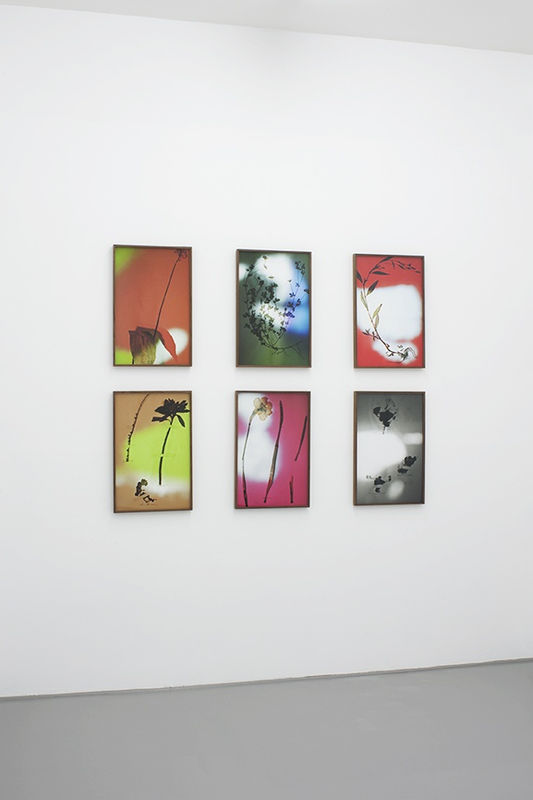 HÉTÉROTOPIES, Bernard Voïta