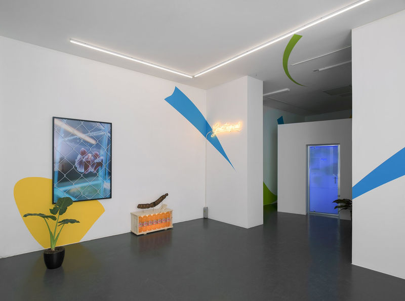 ÉTANT DONNÉS : 1° LA COLONNE DE DOUCHE 2° LE RAYONNEMENT INFRAROUGE, Florian Viel