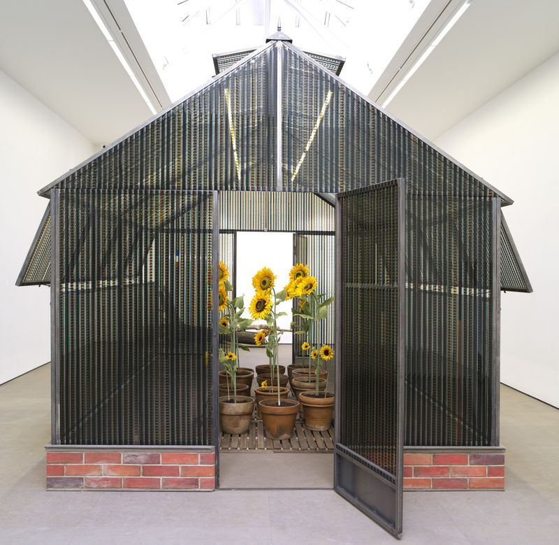 UNE CABANE DE CINEMA : La serre du Bonheur