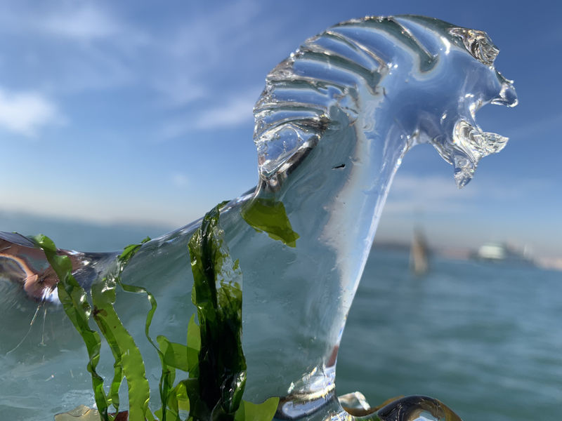 Laure Prouvost in Deep See Blue Surrounding You / Vois ce bleu profond te fondre, LAM, Villeneuve d'Ascq, France