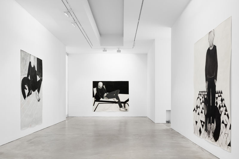 IMAGINATION OF MATTER, IRIS SCHOMAKER