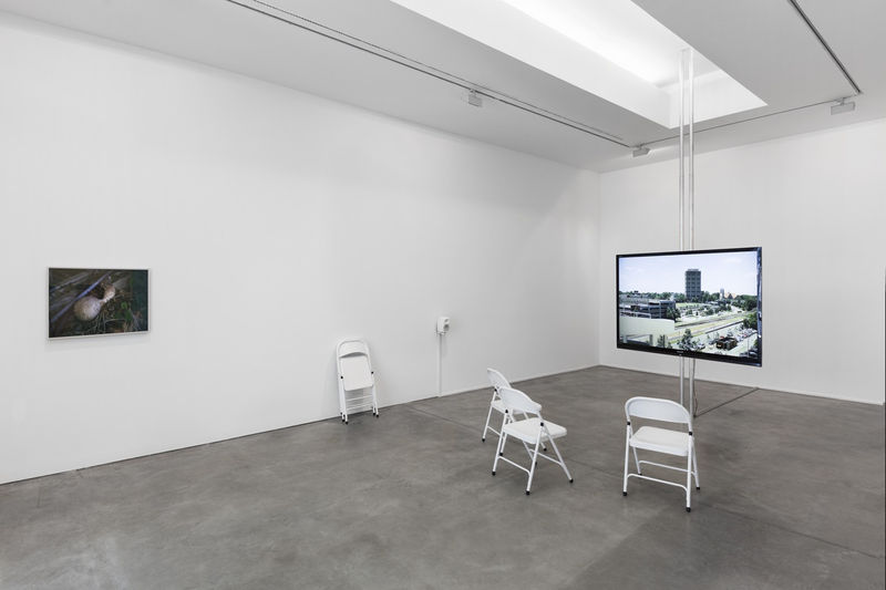 NEGATIVE SPACE, DAVID HARTT