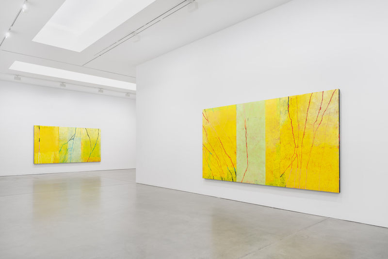 Paco Knöller, Senkrecht durch den Augenblick