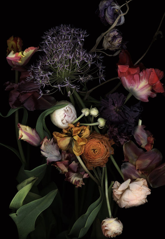 Luzia Simons, Stockage in Jardim