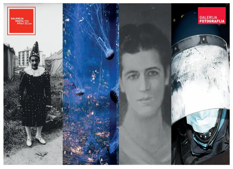 Tereza Kozinc, Simon Chang, Stojan Kerbler and Nik Erik Neubauer, As reality disintegrates, at least these dignified pictures