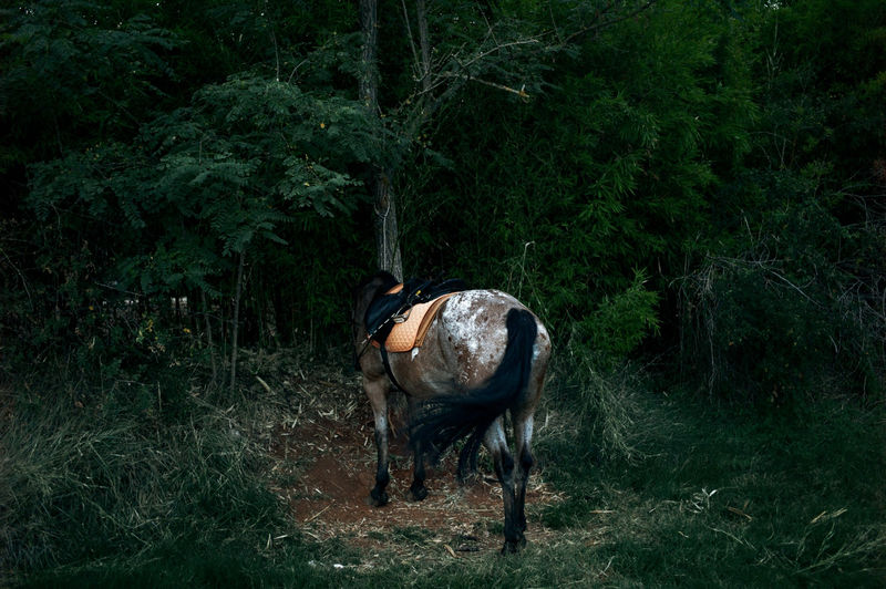 One-on-one mentorship programme with Simon Chang (2022–2023)