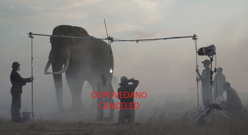 Artist Talk with Nick Brandt CANCELED DUE TO HEALTH ISSUES