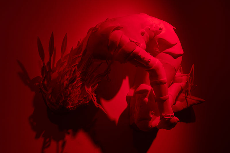 GalleriesNow | Cheng Ran