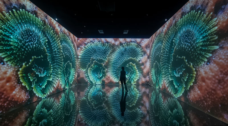 Gray Area | Superradiance