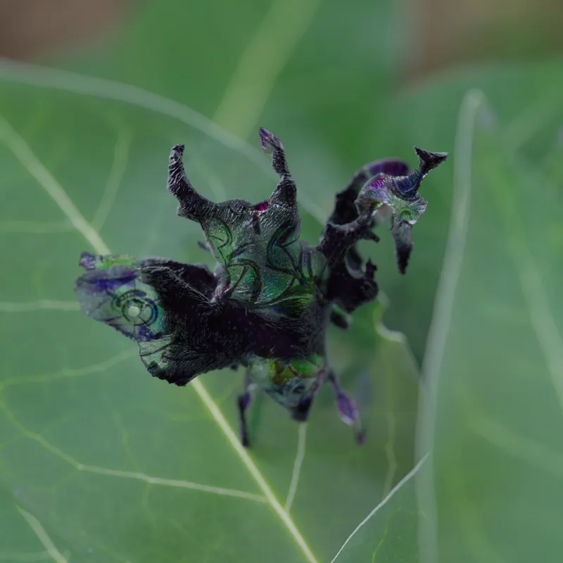 MEET Digital Centre | Liquid Chimeras