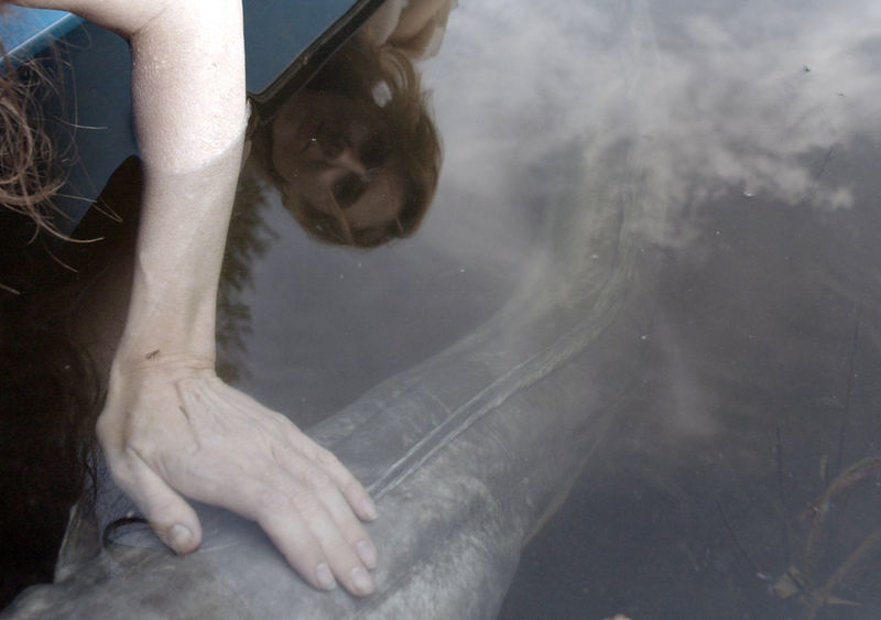 Film still from 'RIA' by Miriam Austin