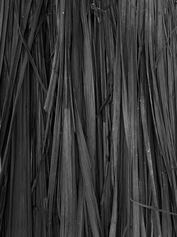 Exhibition Opening, Brett Graham | Doorway to Night