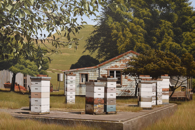 Hight, Pohokura, 2020