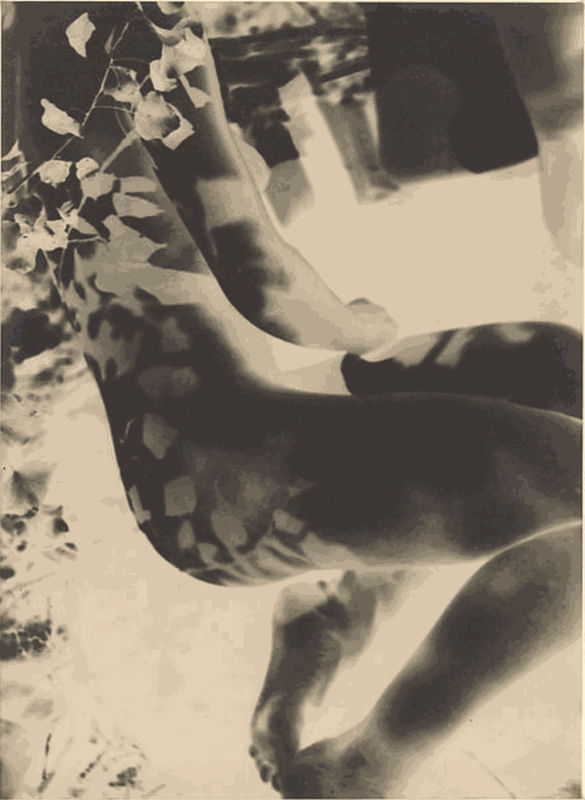 László Moholy-Nagy negative portrait of sitting nude woman with shadow of leaves on her skin