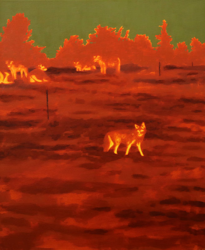 Diego Herman, How to see through a Fence