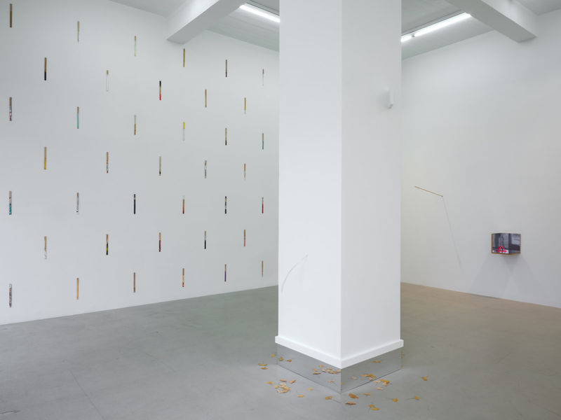 Hreinn Friðfinnsson, Hegðun 10 / Conduct 10