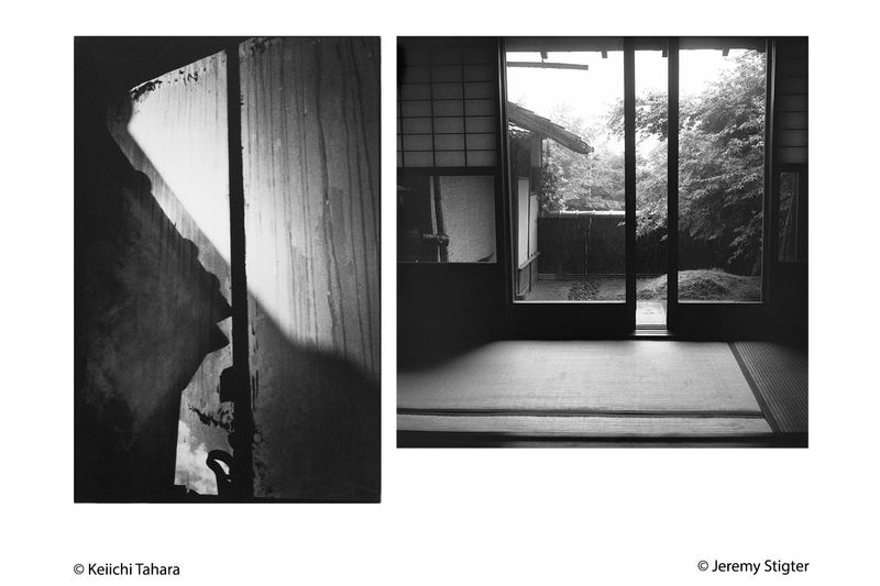 #59 Yōjo - Jeremy Stigter & the IBASHO Collection