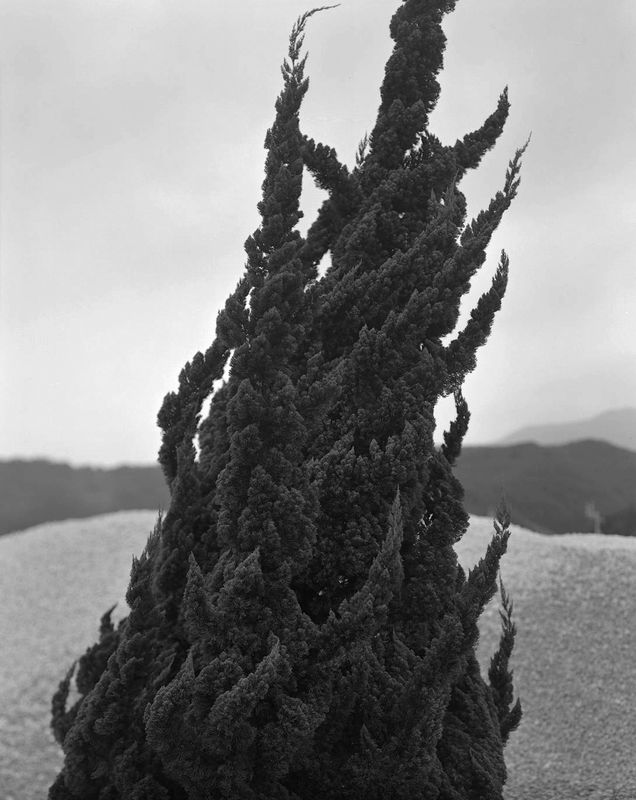 #69 Tokyo/Ehime - Gerry Johansson