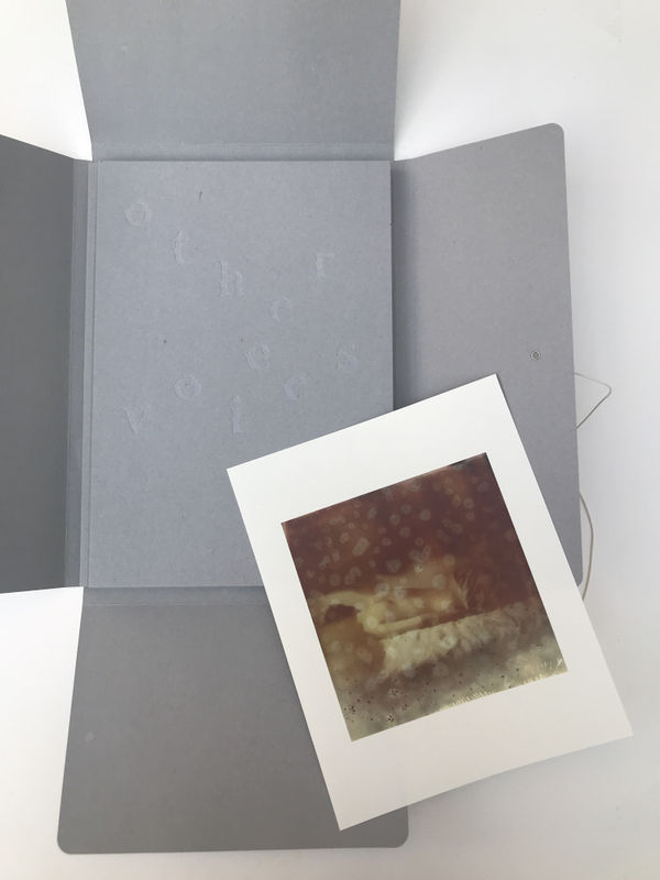 Other Voices - Hideyuki Ishibashi, Special edition with print 'Other Voices 5'