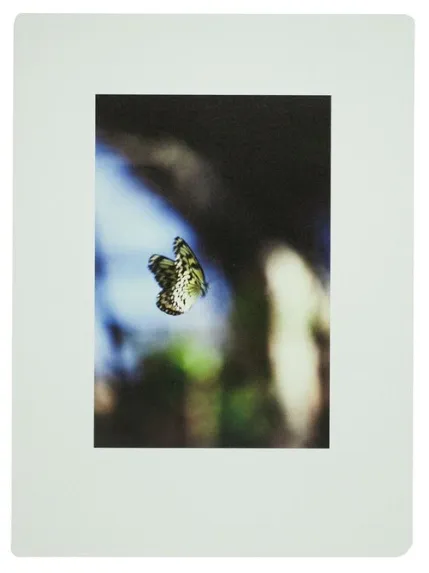 liminal (eyes) - Shimpei Yamagami