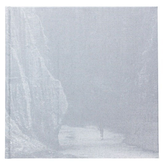 Untitled - Shin Yanagisawa