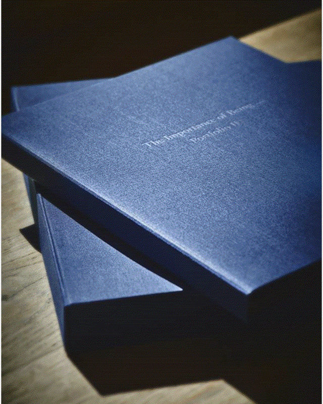 The Importance of Being: a limited edition portfolio of Belgian artists (Portfolio II)