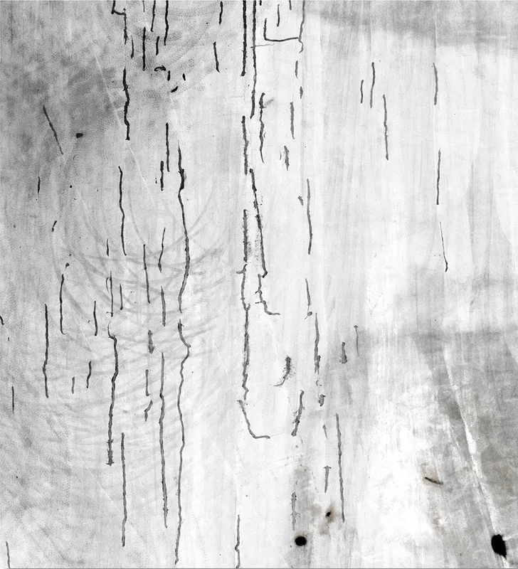 MARGES - Jérémie Lenoir