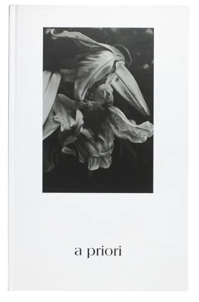 a priori - Yoko Mazuki