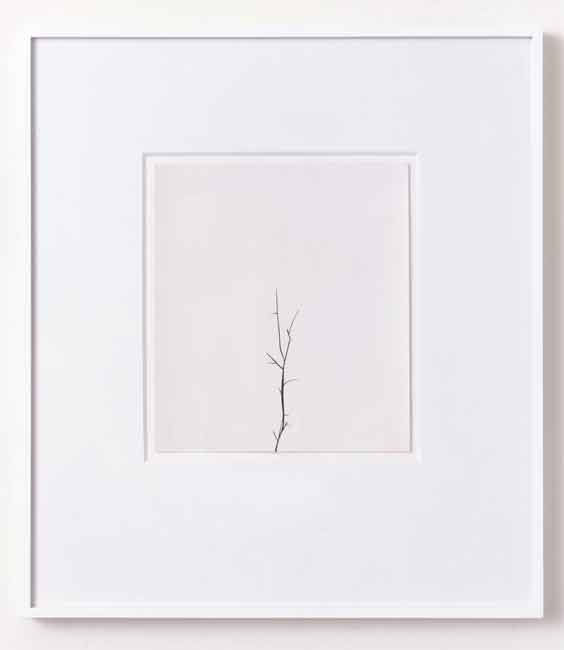 Winter Drawing 5Vs5 27 December 2005 2005 black masking tape, watercolour, paper 20.2 x 20cm paper size