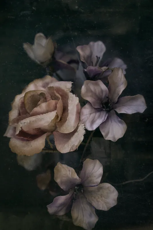 Art Rotterdam & Unseen Photo Fair 2026