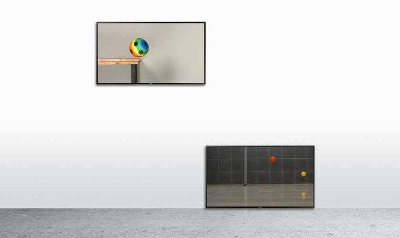 Tromarama Quandary, 2016