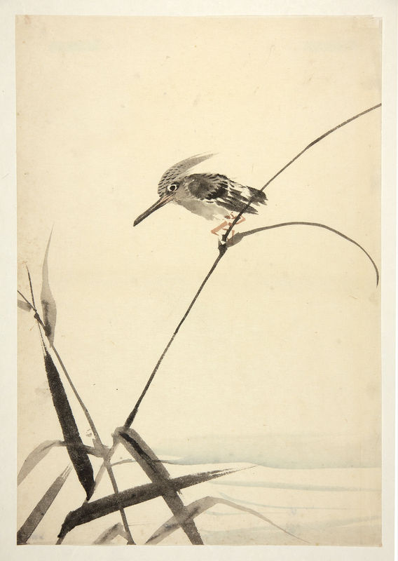 Tuschebilder, Naturdarstellungen