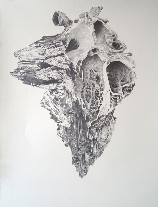 Ingri Haraldsen | Haroun Haward | Merlin Ramos | Fred Sorrell | Louise Thomas, SHOT