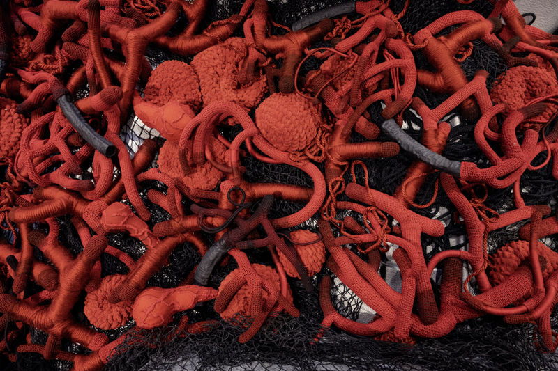 Dhara Rivera, Violencia al filo