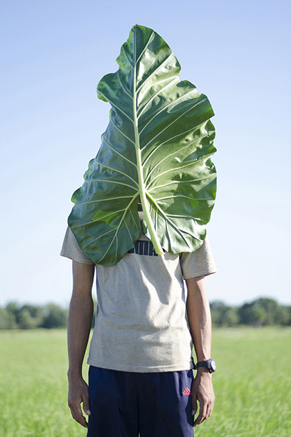 Landskrona Photo Festival